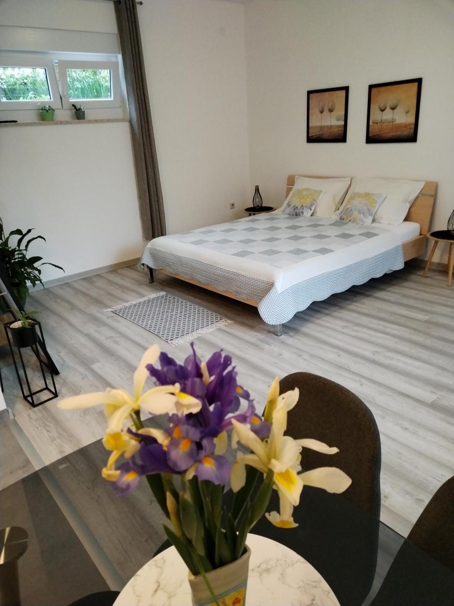 Apartments Mirijana PUY 외부 사진